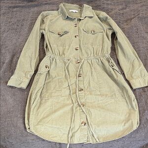 American Eagle Outfitters Olive Green Button-Up Dress